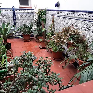 https://sotel-valle-guadiaro.1costadelsol.com